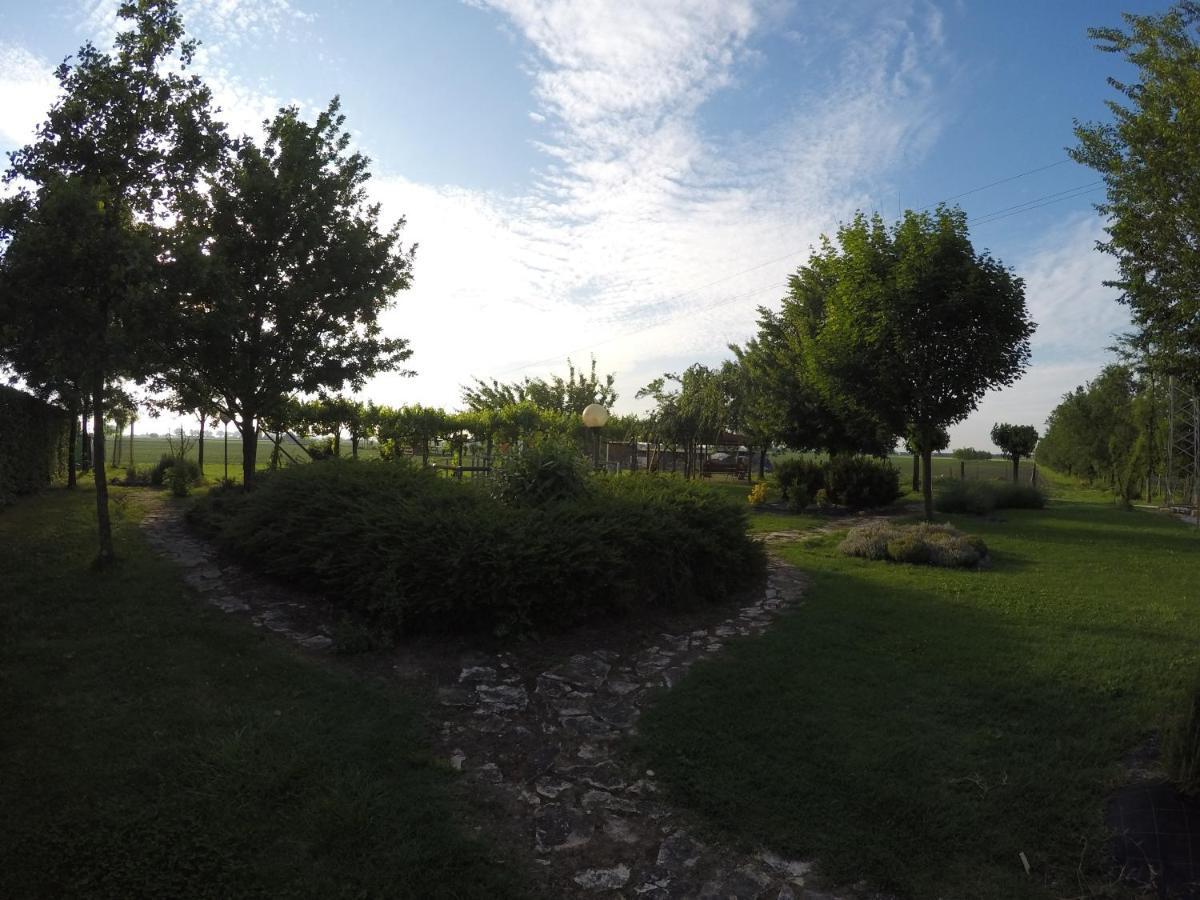 Agriturismo La Rebosola Ca Zennare Ngoại thất bức ảnh